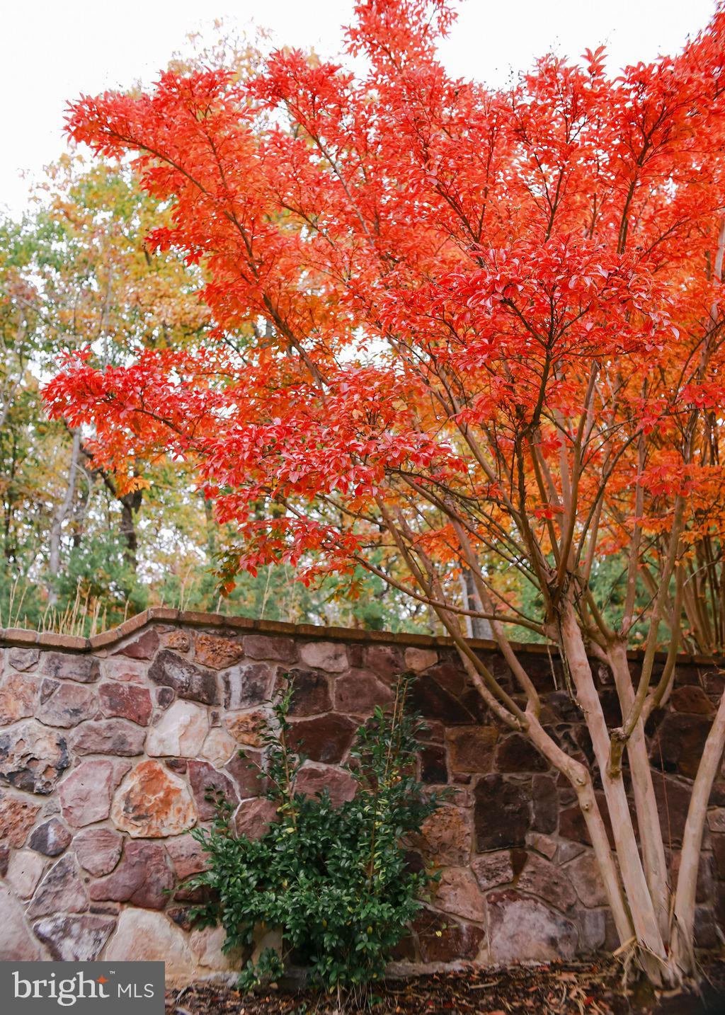 4752 GREENE LOVE LANE