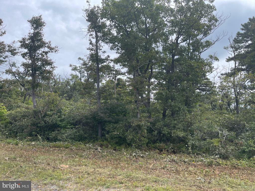 Lot #245 ARCHWOOD TRAIL