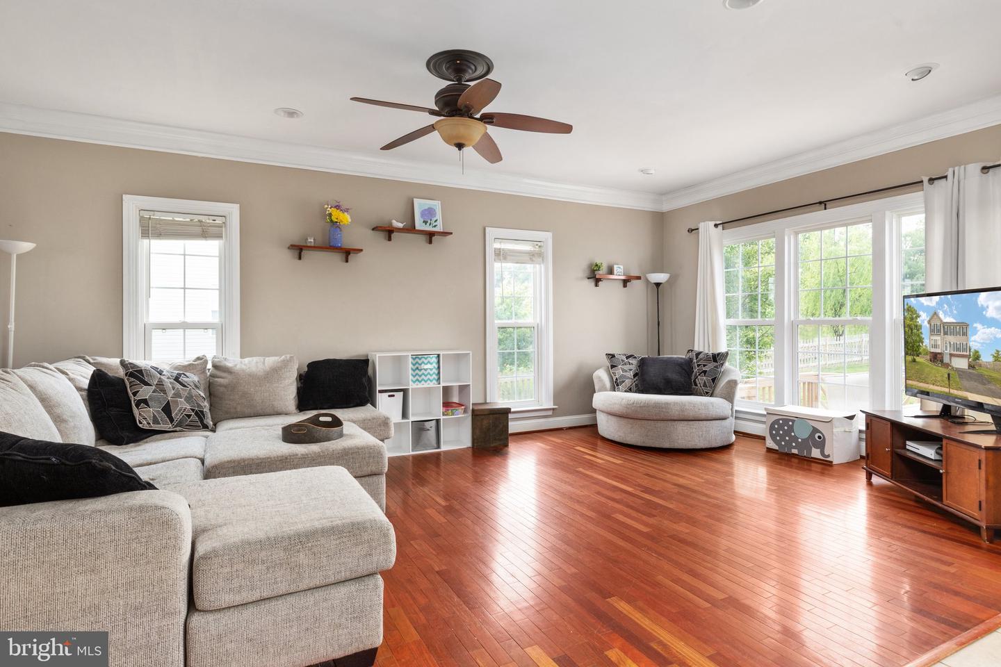 119 HOMER DRIVE