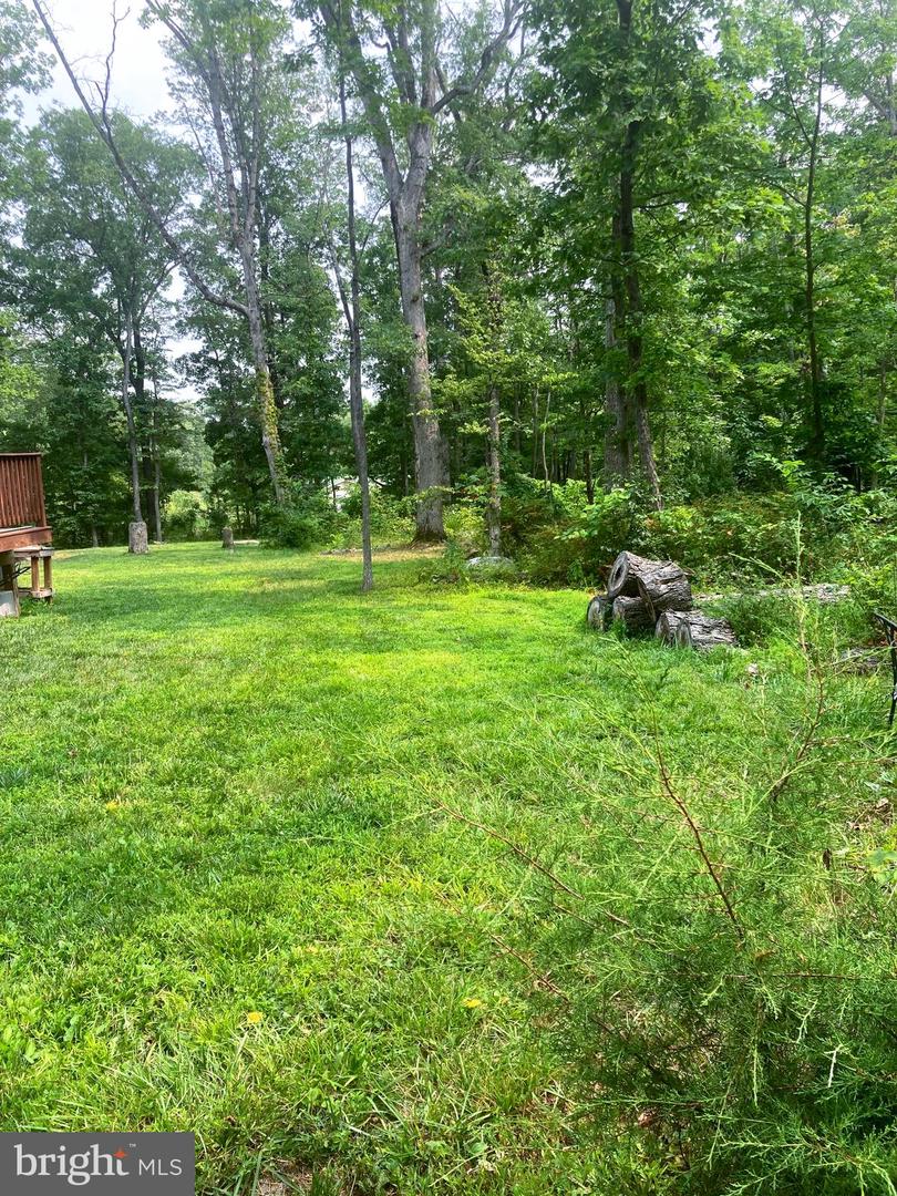 101 BRIER RABBIT COURT