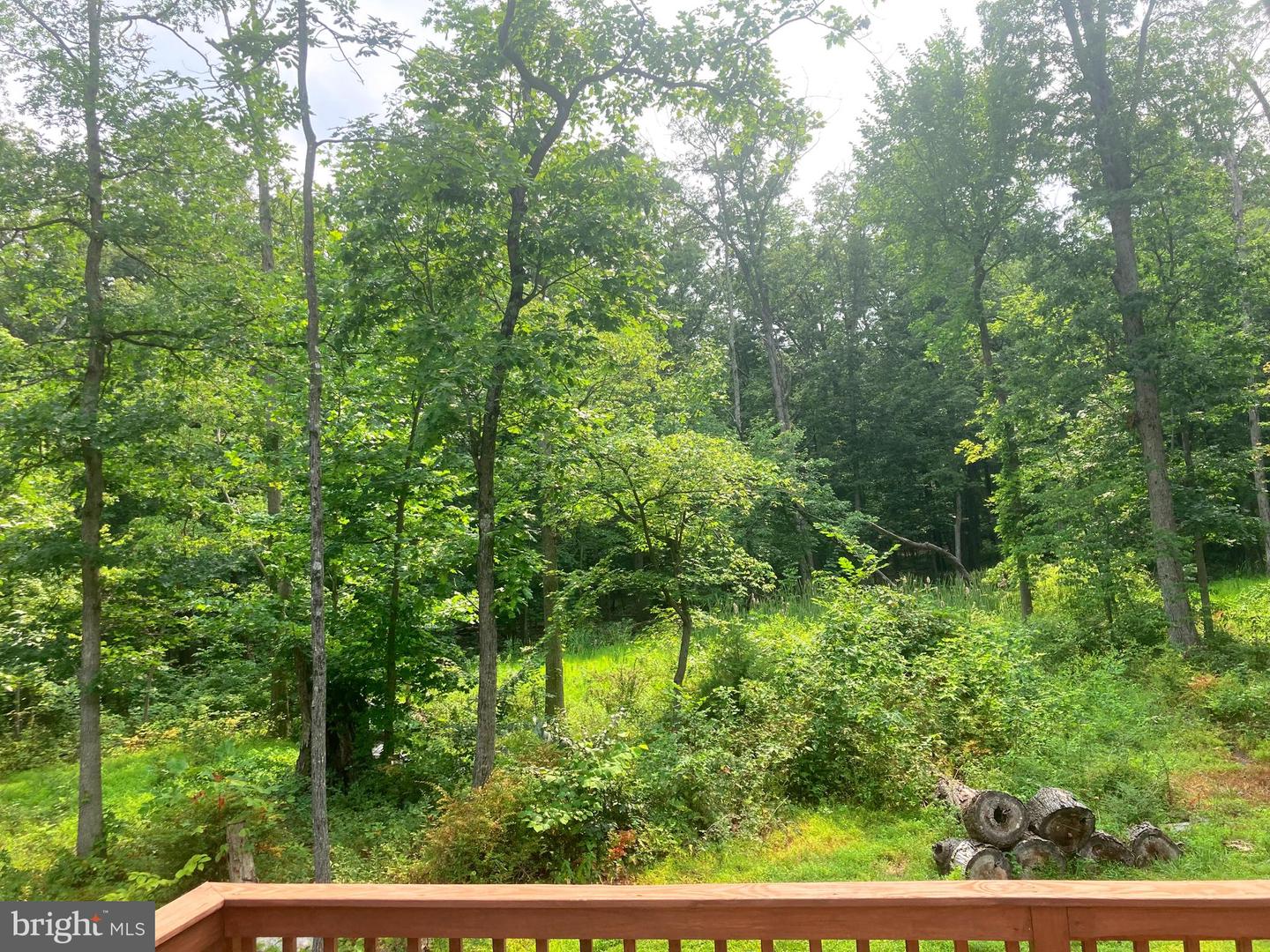 101 BRIER RABBIT COURT