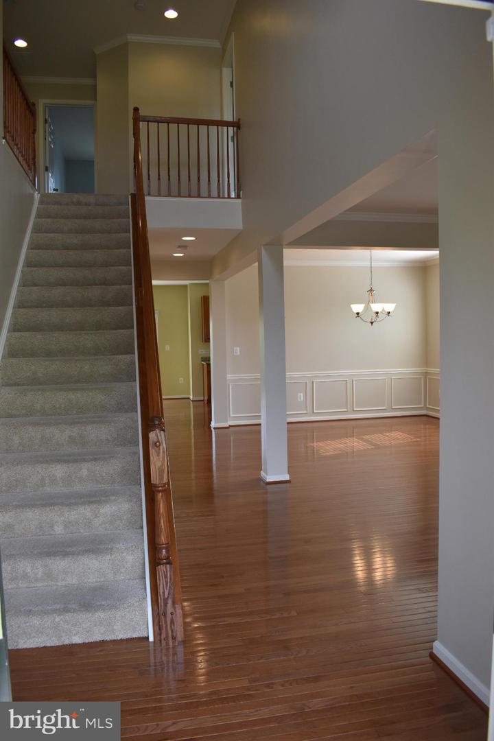 233 MORLYN DR