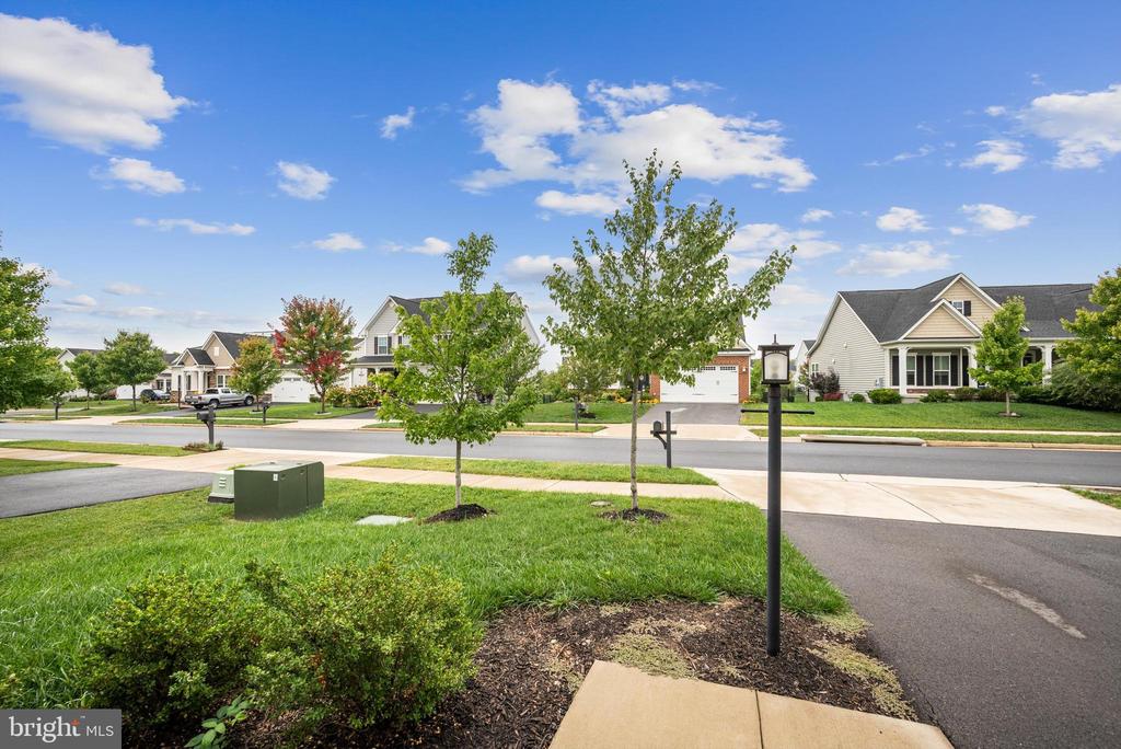 104 IRONWEED DR