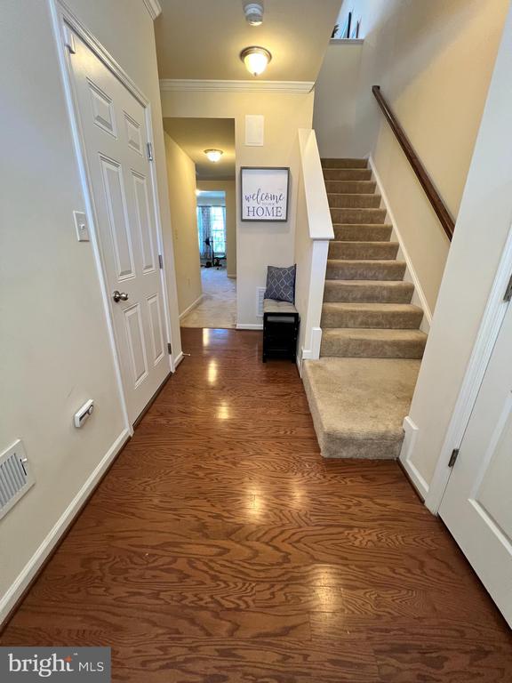 173 SCHRAMM LOOP