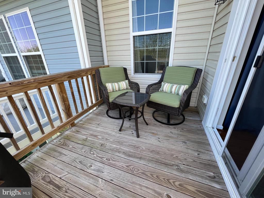 173 SCHRAMM LOOP