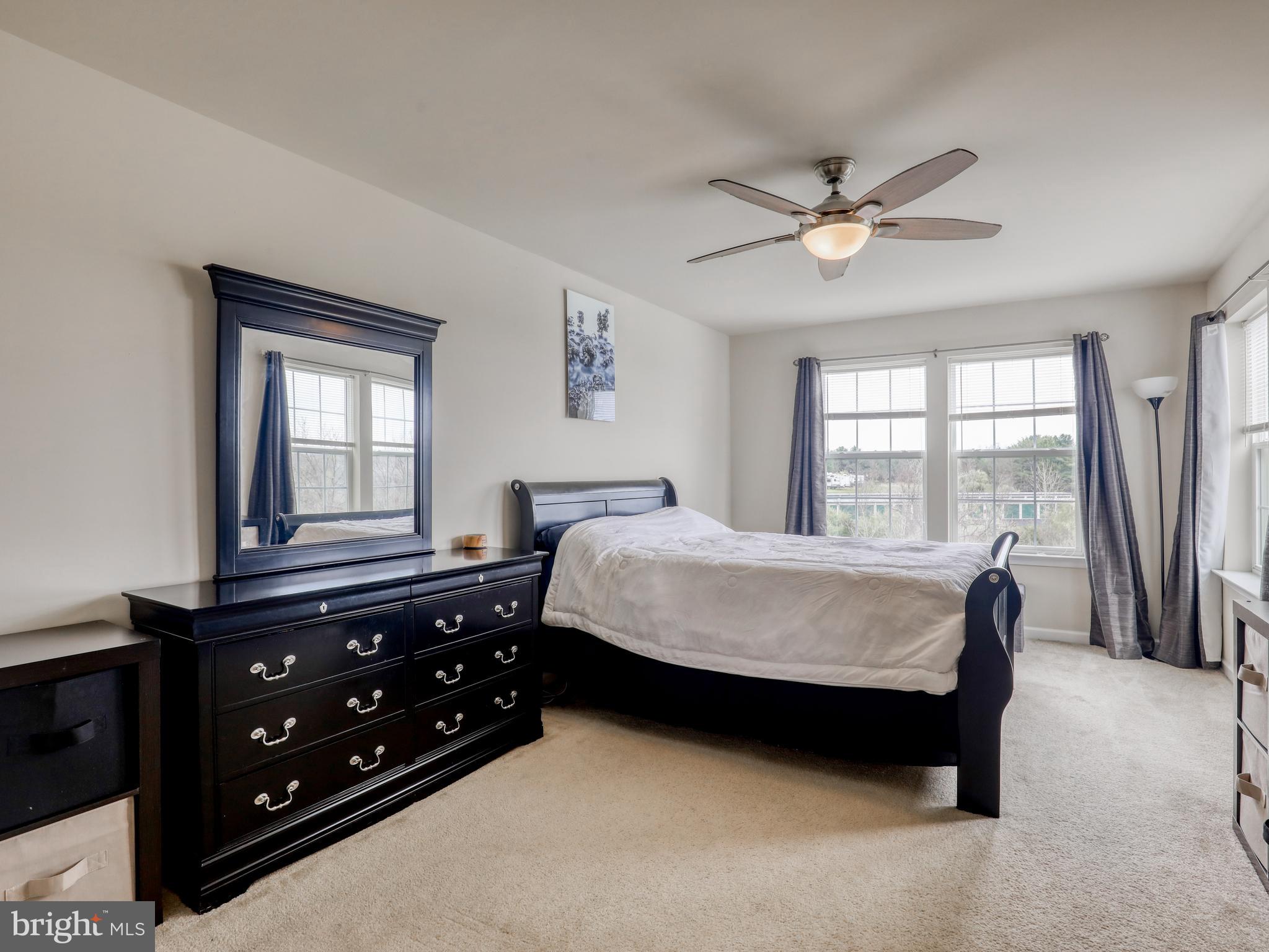 173 SCHRAMM LOOP