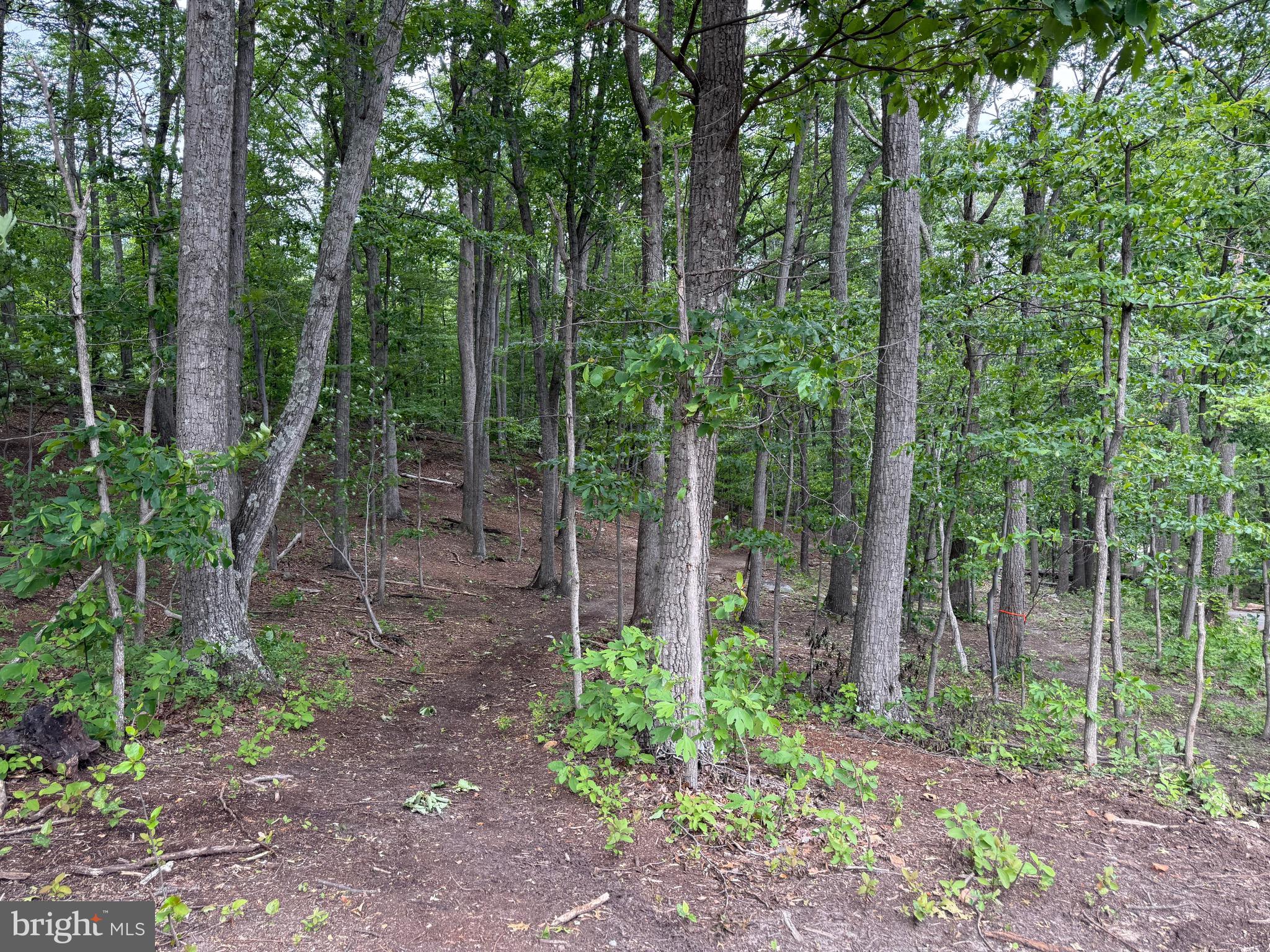 Lot 15 Panther Drive