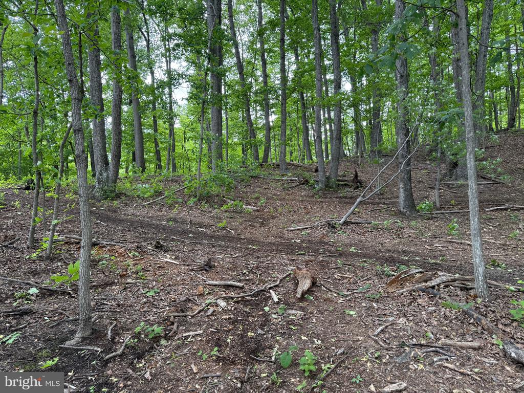 Lot 15 Panther Drive