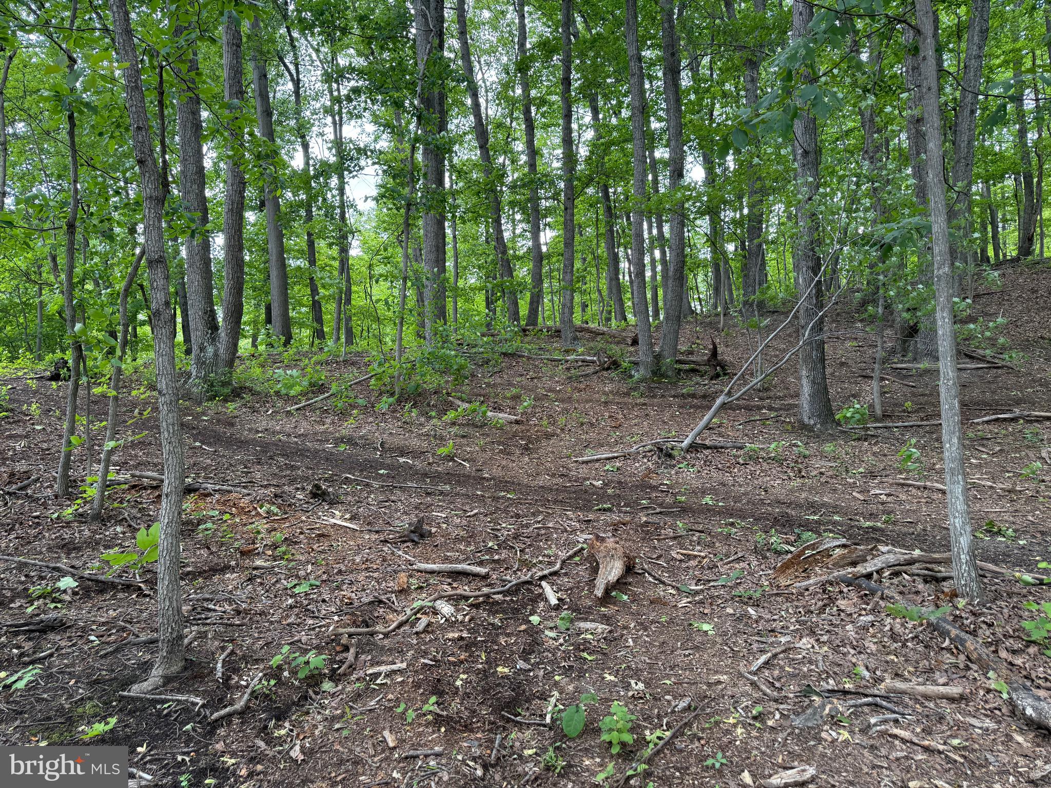 Lot 15 Panther Drive