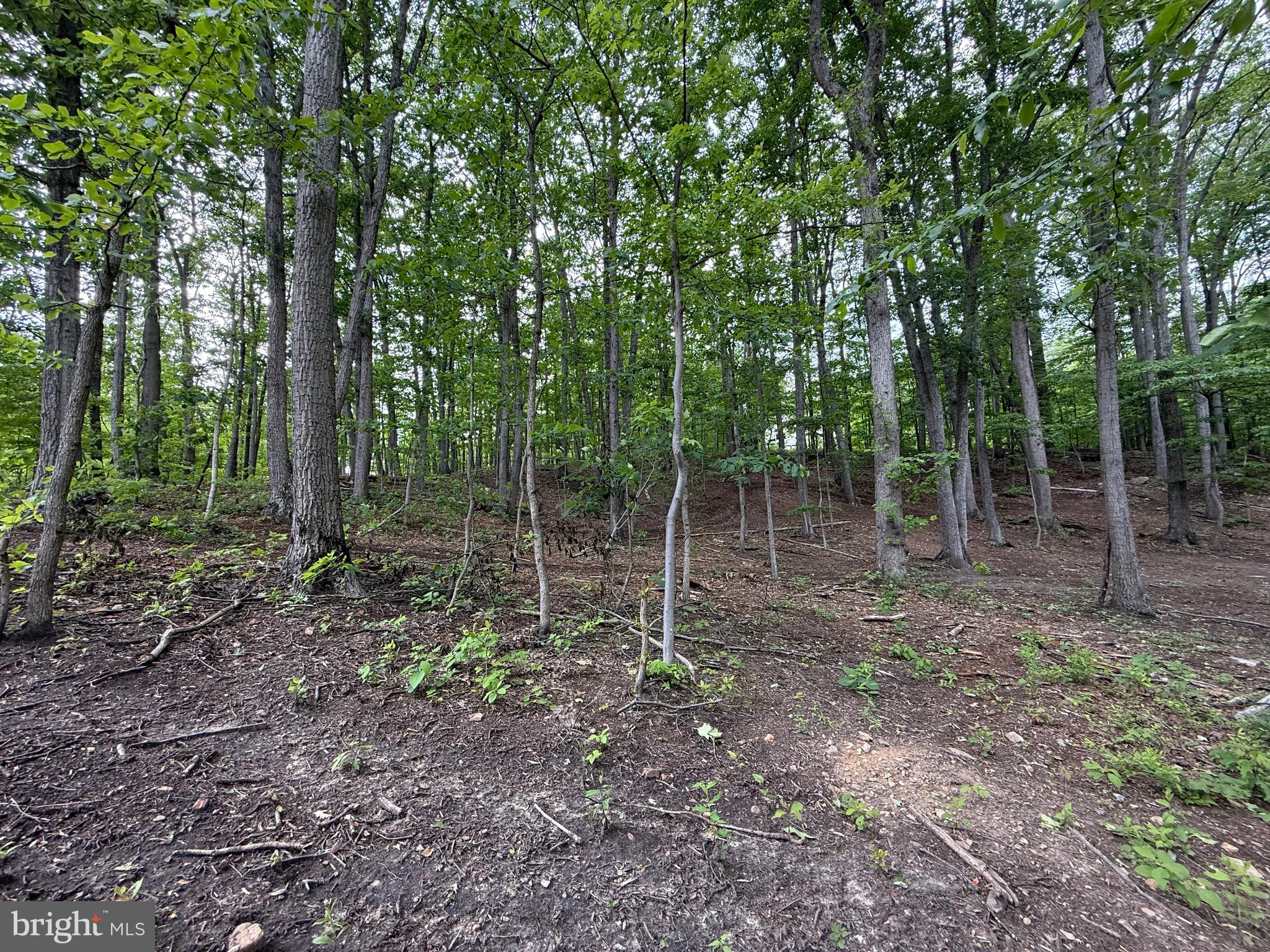 Lot 15 Panther Drive