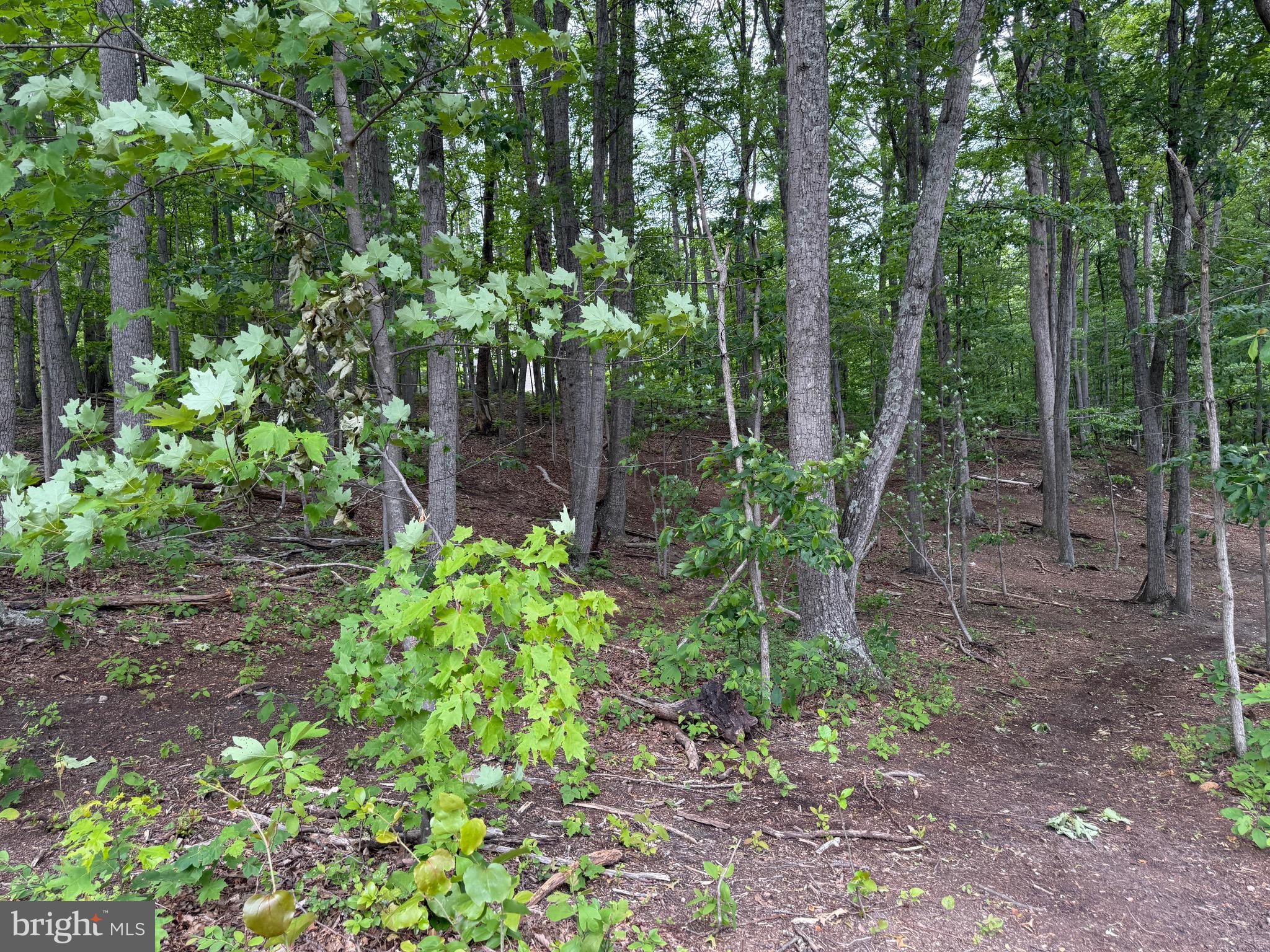 Lot 15 Panther Drive