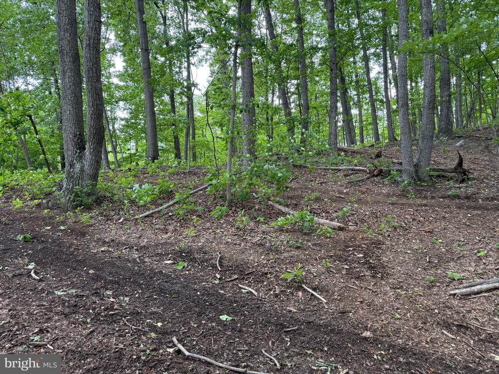 Lot 15 Panther Drive