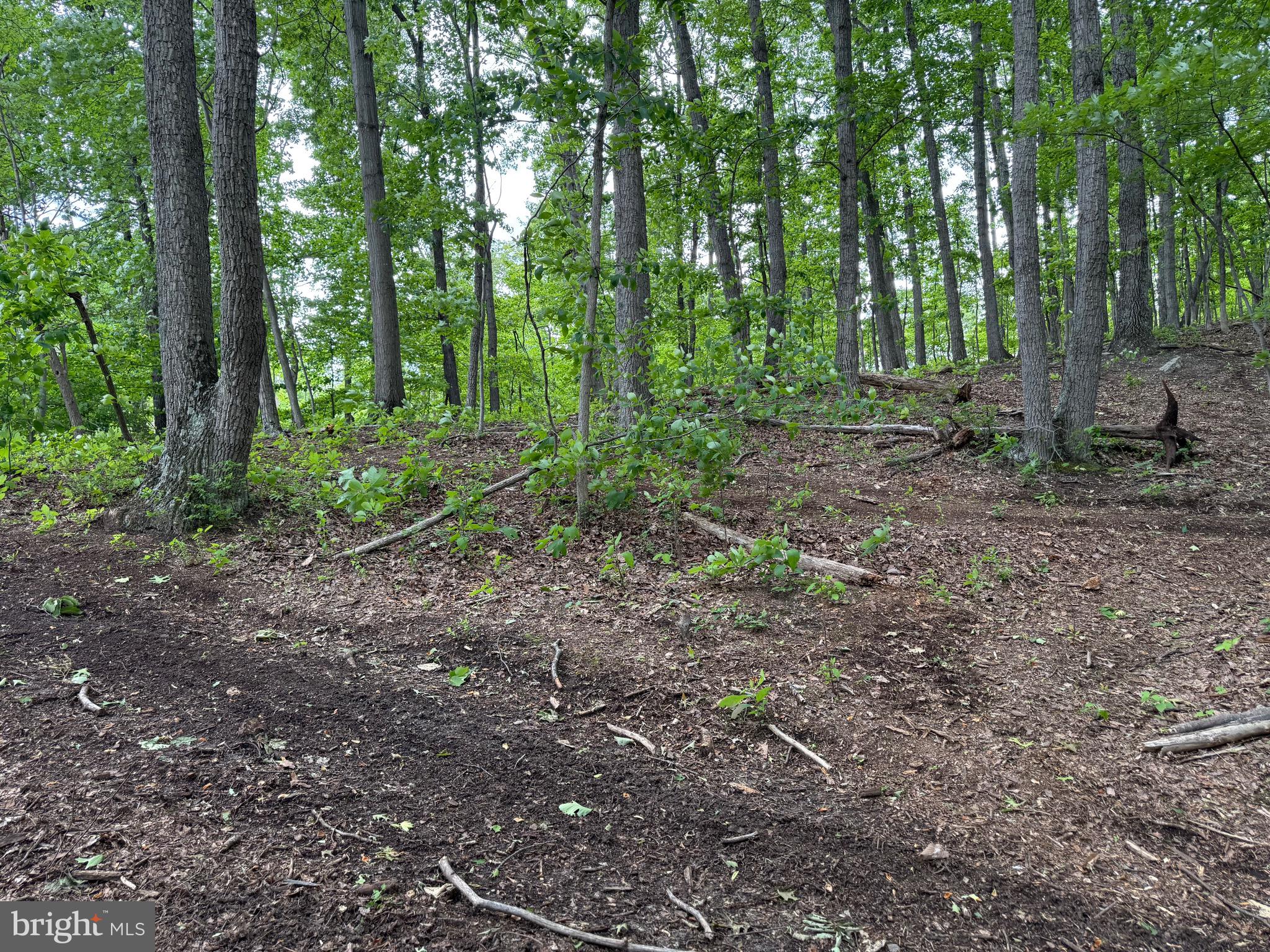 Lot 15 Panther Drive