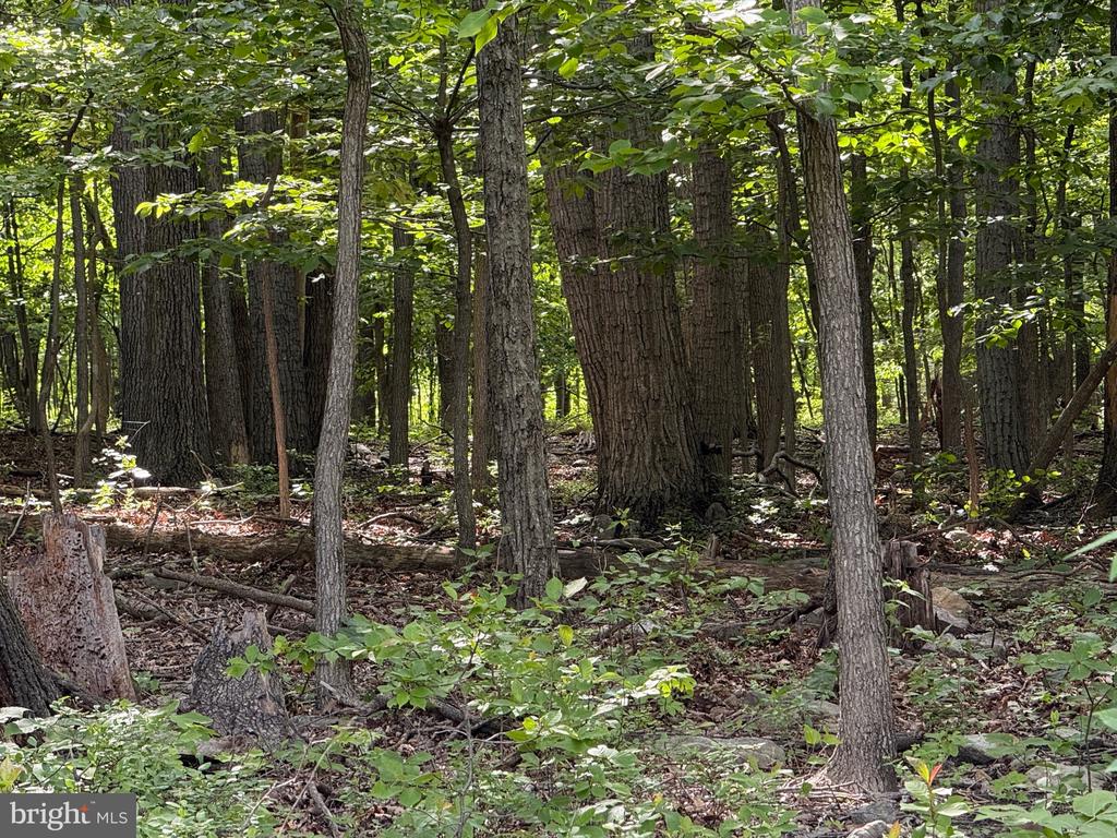 Lot 1 Crow Dr