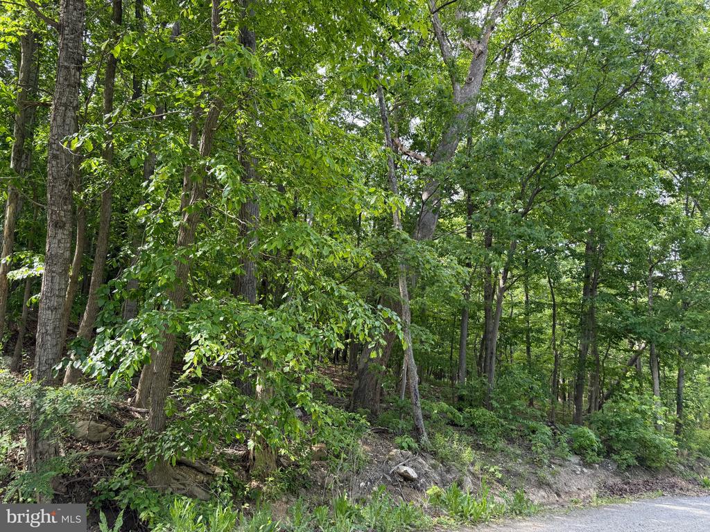 Lot 1 Crow Dr