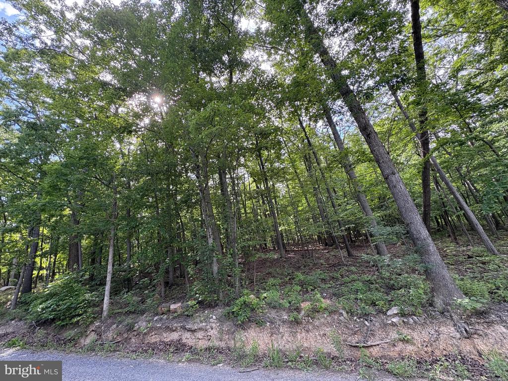 Lot 1 Crow Dr