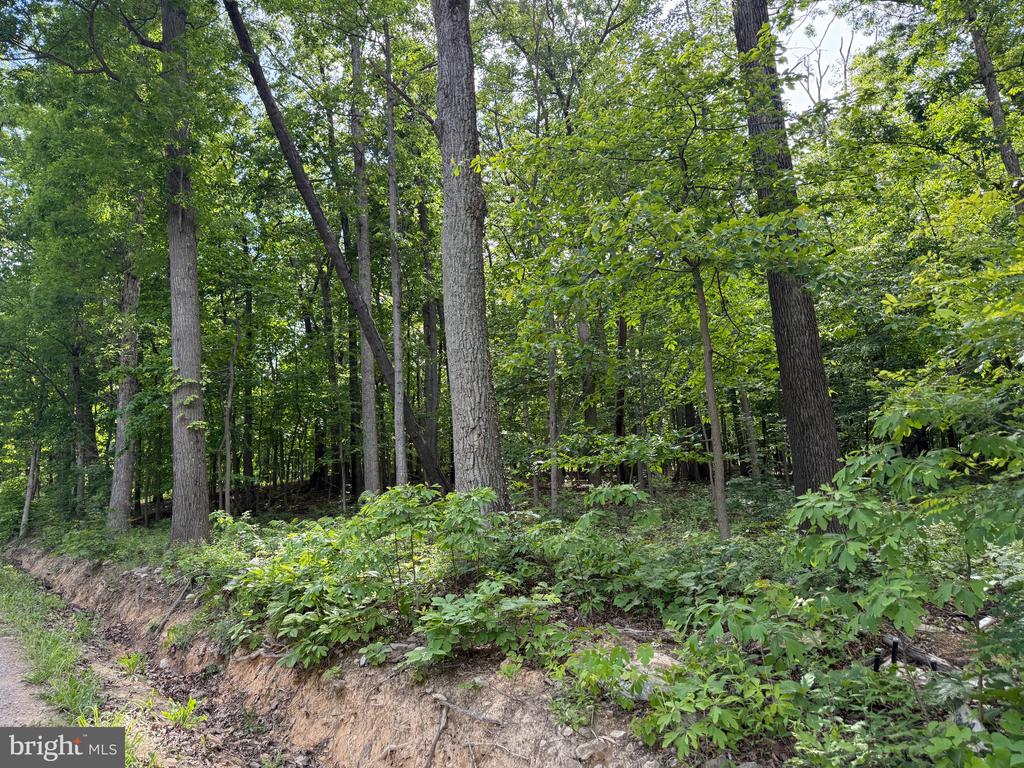 Lot 1 Crow Dr