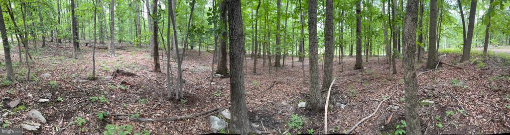 Lot 1 Crow Dr