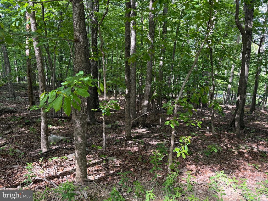 Lot 1 Crow Dr