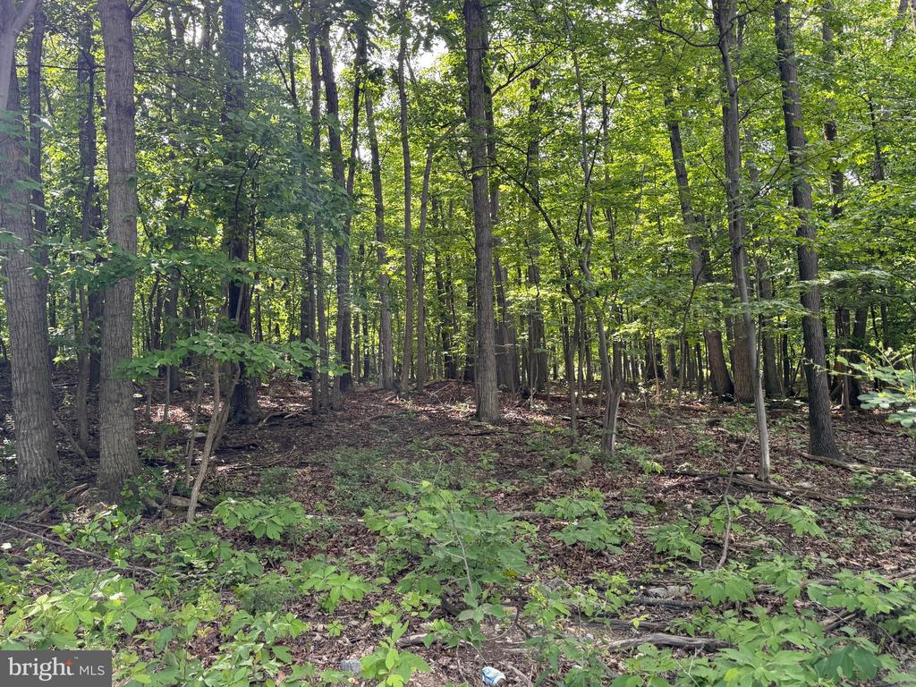 Lot 1 Crow Dr