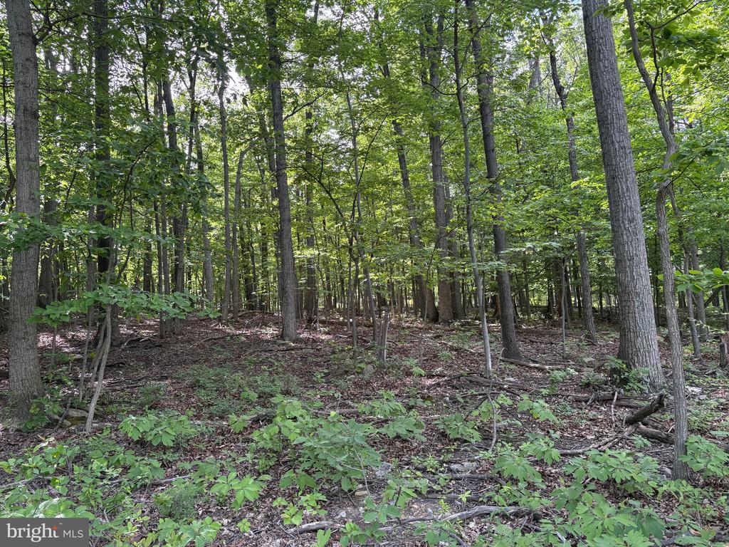 Lot 1 Crow Dr