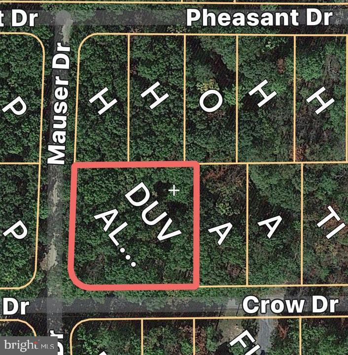 Lot 1 Crow Dr
