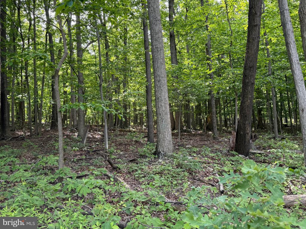 Lot 1 Crow Dr