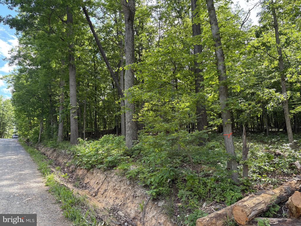 Lot 1 Crow Dr