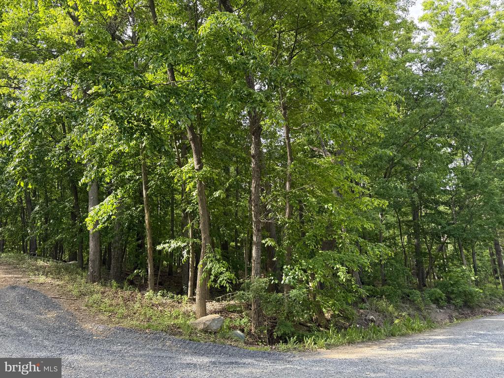 Lot 1 Crow Dr
