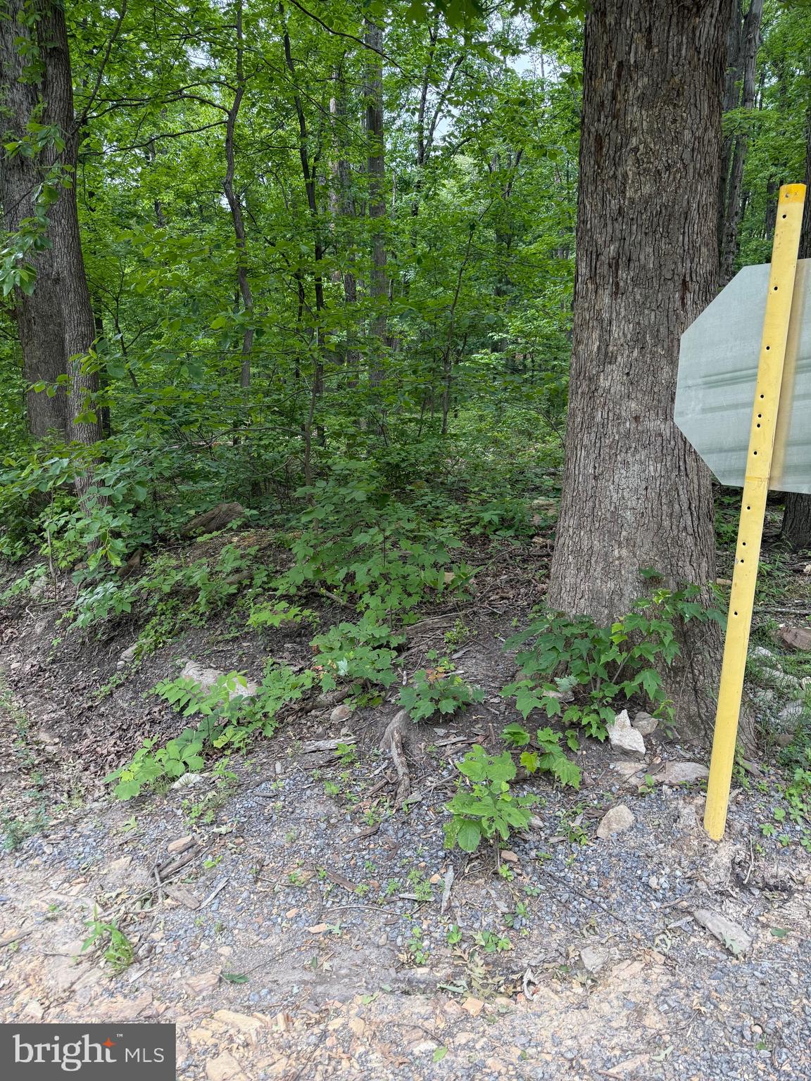 Lot 12 Raccoon Drive