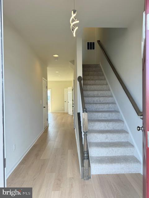 142 Bamboo Shoot Ln