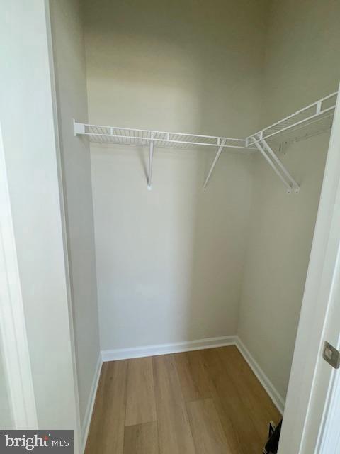 142 Bamboo Shoot Ln