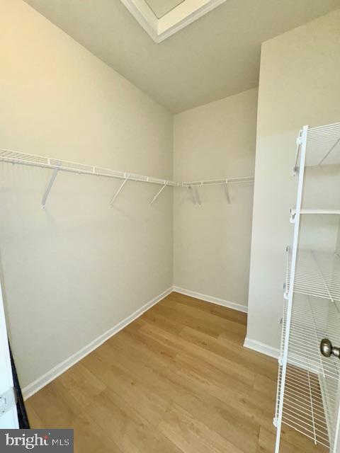 142 Bamboo Shoot Ln