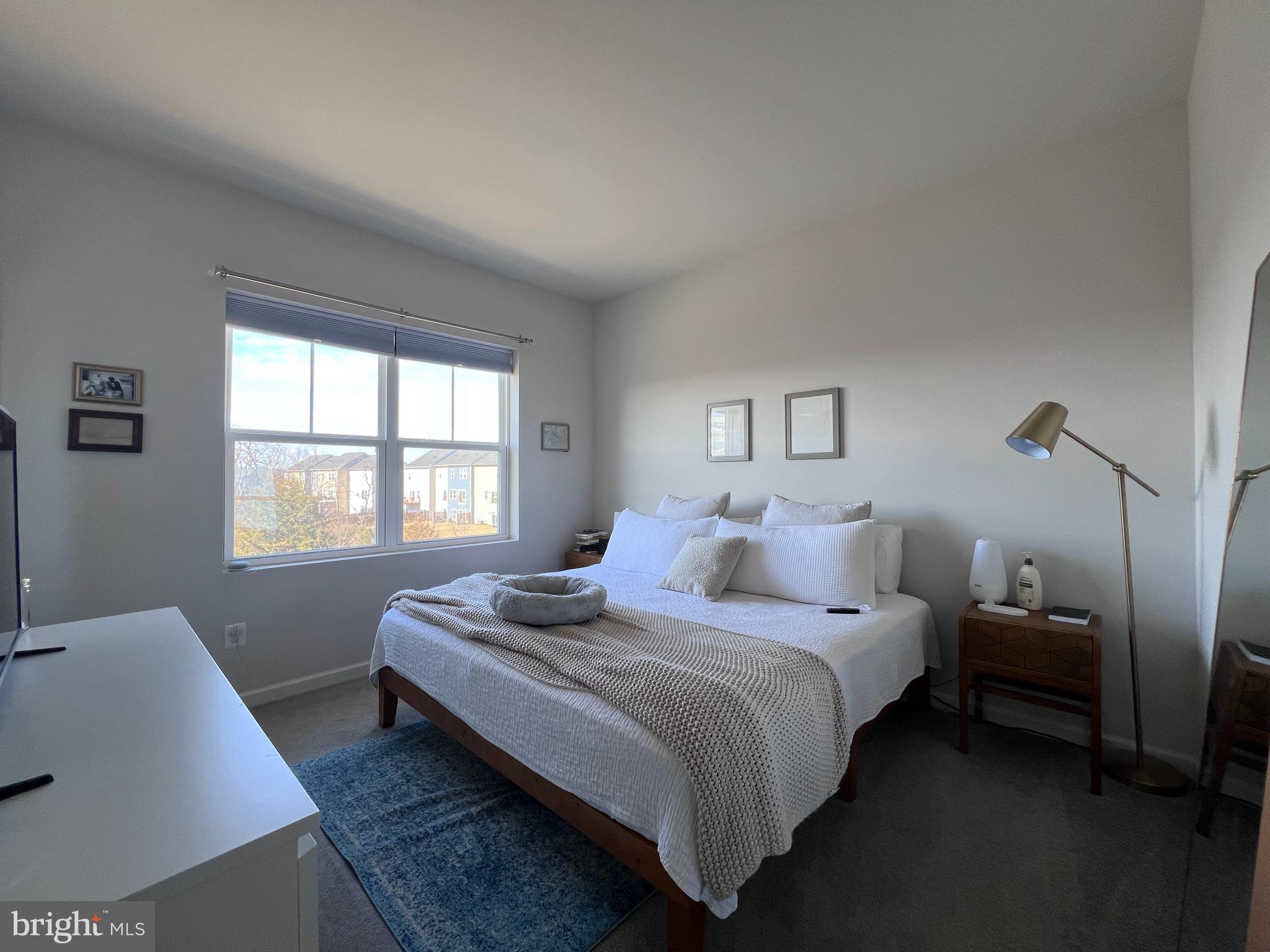 316 STARRY WAY DRIVE