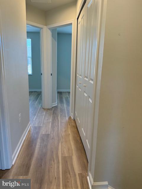 104 REIGN WAY