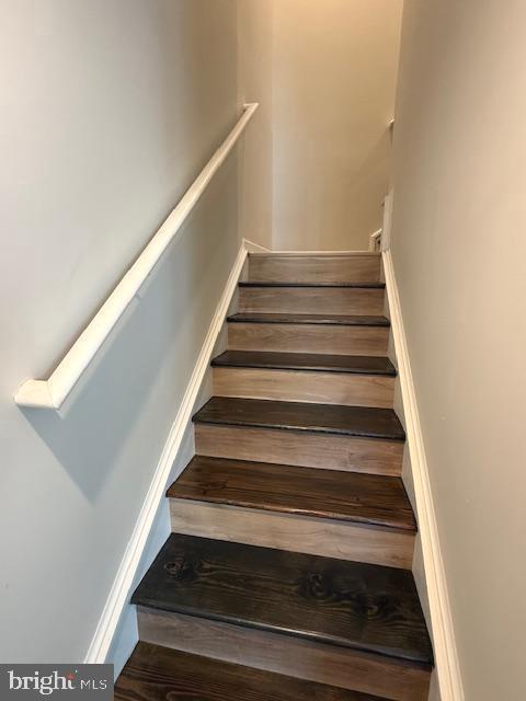 104 REIGN WAY
