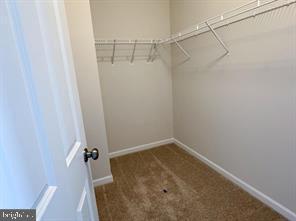 116 FLAXEN MANE COURT