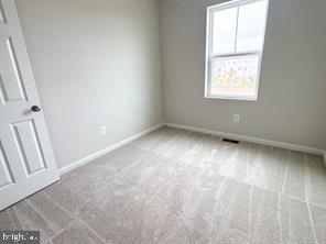 116 FLAXEN MANE COURT