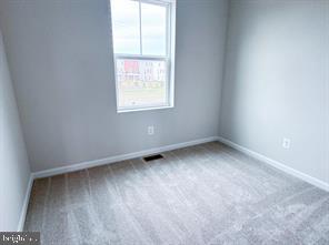 116 FLAXEN MANE COURT