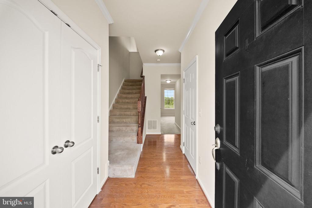 241 SCHRAMM LOOP