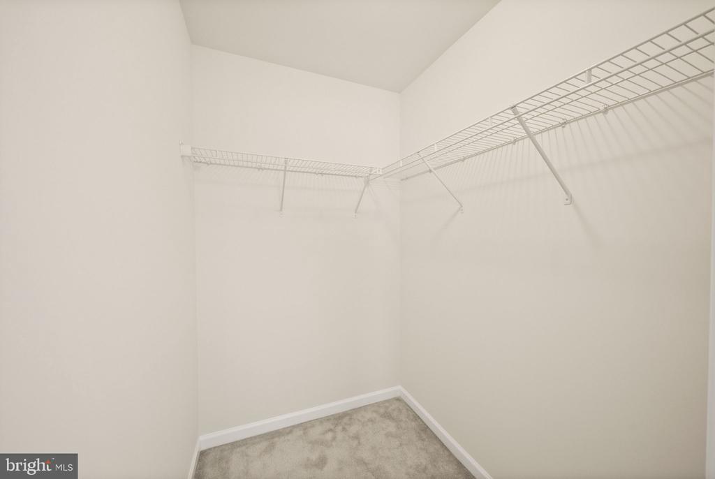 241 SCHRAMM LOOP