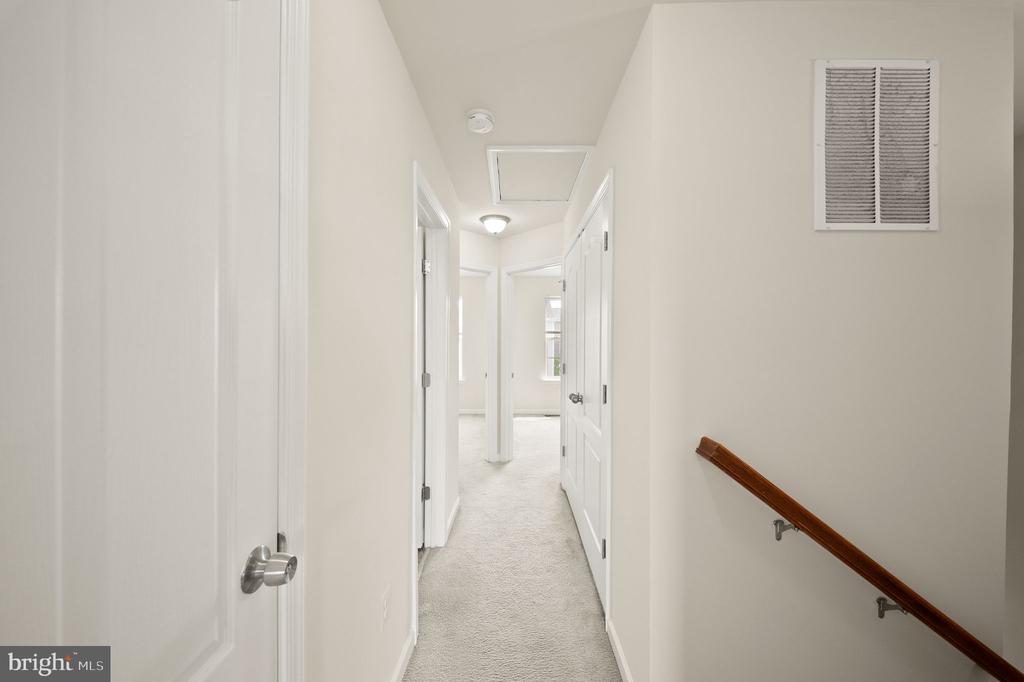 241 SCHRAMM LOOP