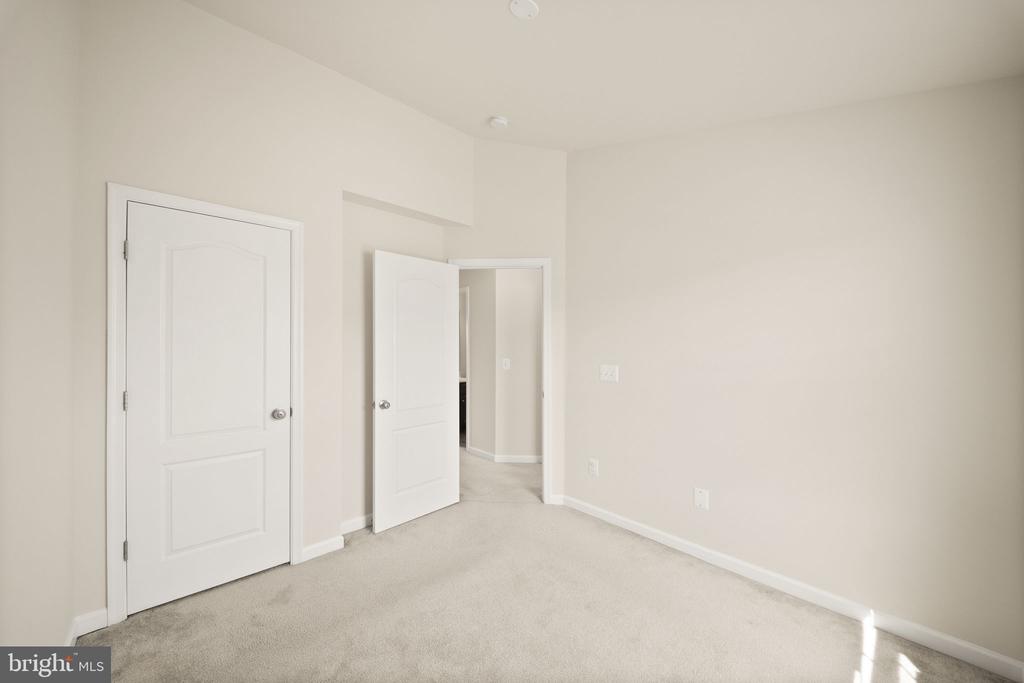 241 SCHRAMM LOOP