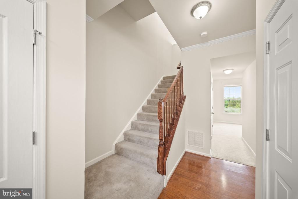 241 SCHRAMM LOOP