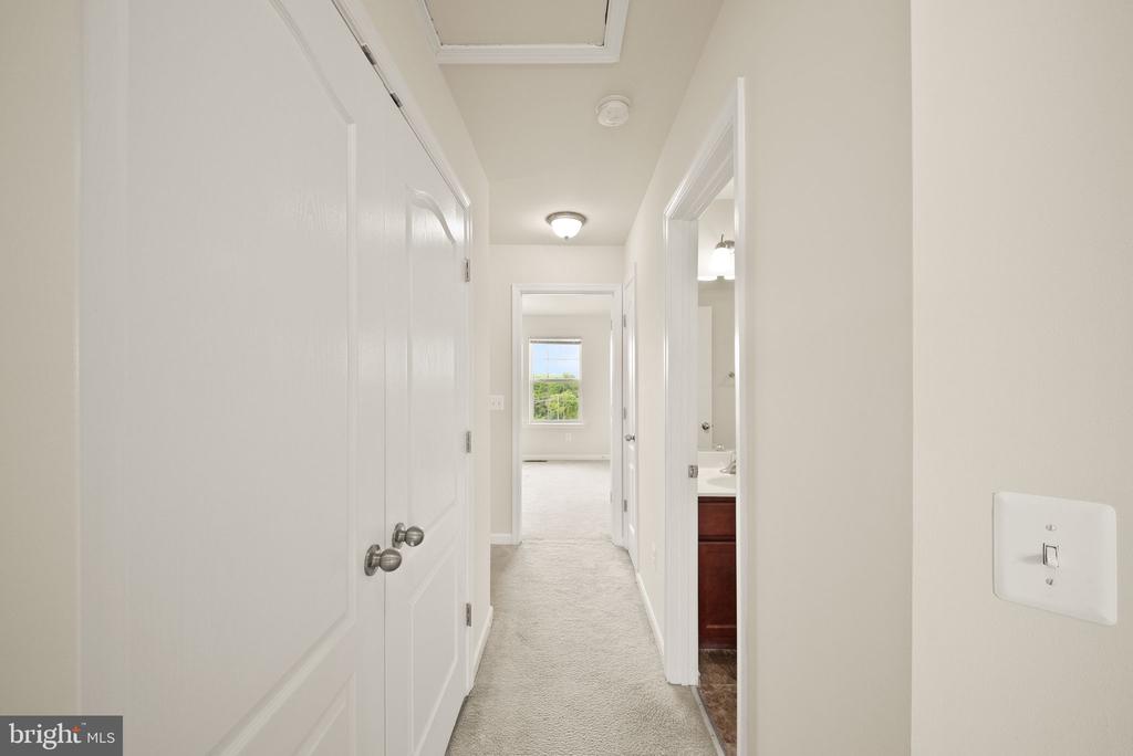 241 SCHRAMM LOOP