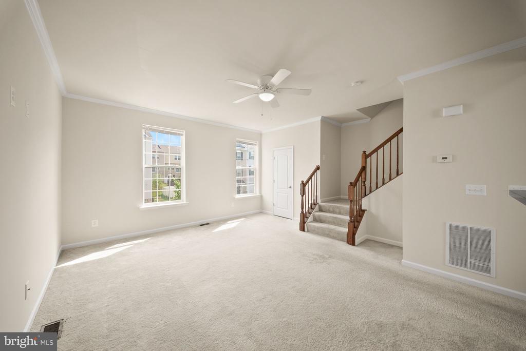 241 SCHRAMM LOOP
