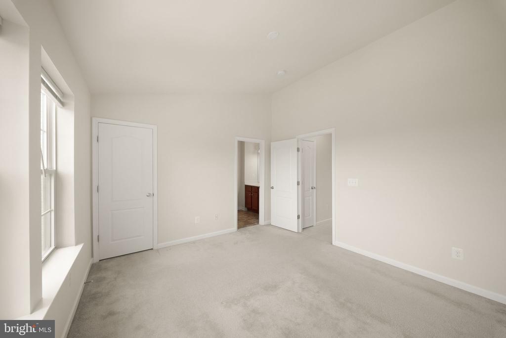 241 SCHRAMM LOOP