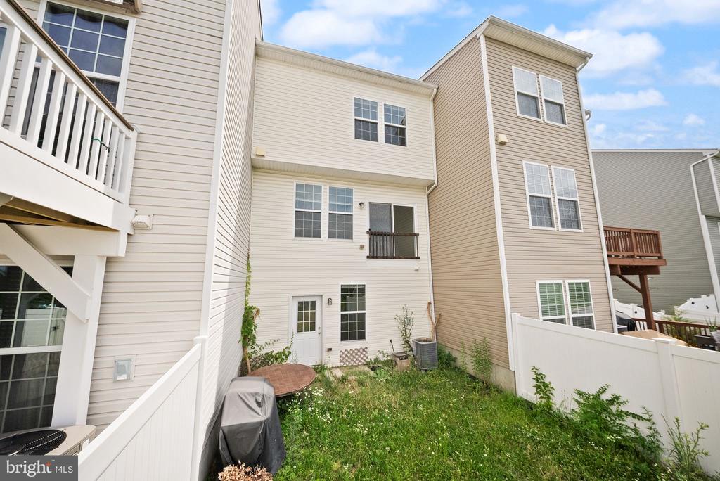 241 SCHRAMM LOOP