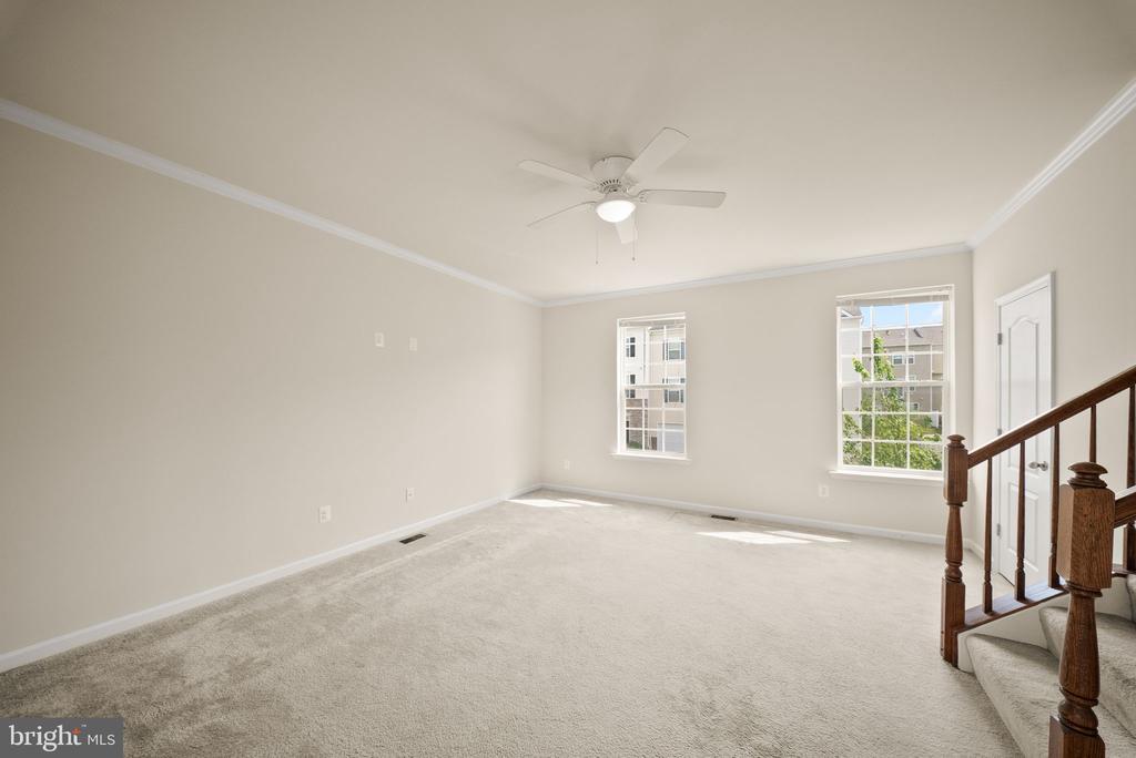 241 SCHRAMM LOOP