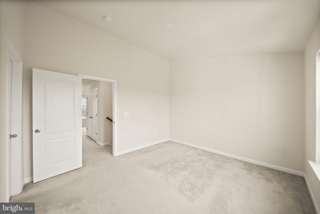 241 SCHRAMM LOOP